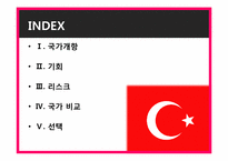 [국제경영] turkey 터키 조사-2