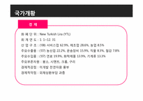 [국제경영] turkey 터키 조사-6