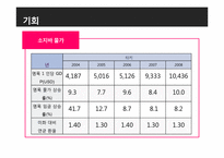 [국제경영] turkey 터키 조사-10