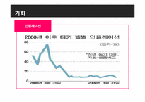 [국제경영] turkey 터키 조사-12
