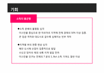 [국제경영] turkey 터키 조사-14