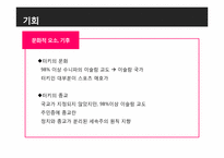 [국제경영] turkey 터키 조사-15