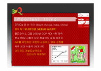 [국제광고홍보] 비비큐 브라질 시장 진출을 위한 국제 마케팅 기획서-8