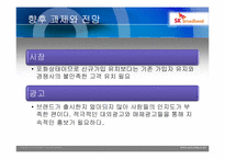 SK 브로드밴드 마케팅분석-17