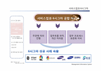 [경영정보시스템] 서비스업과 6시그마-12