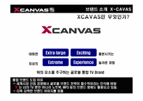[소비자행동분석] XCAVAS(엑스캔버스)의 새로운 마케팅 전략-4