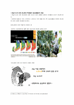 [일반사회 교재연구 및 지도] 자연환경과 인간생활-8