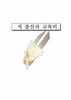 저출산과 교육비-1