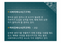 [일본의 예능] 라쿠고와 만자이-14
