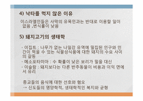 음식문화의 수수께끼-6