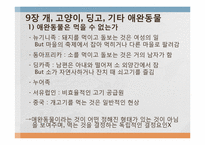 음식문화의 수수께끼-7