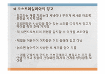 음식문화의 수수께끼-10