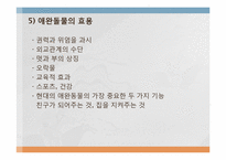 음식문화의 수수께끼-11