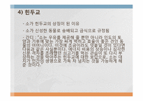 음식문화의 수수께끼-17