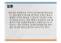 음식문화의 수수께끼-19