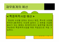[비영리회계] 우리나라 비영리 사회복지법인에 대하여-19