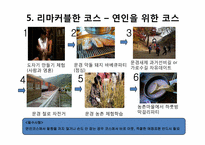 문경새재 퍼플카우를 이용한 차별화 전략-10