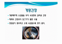 간장과 미생물 레포트-8