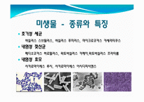 간장과 미생물 레포트-11