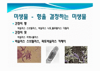 간장과 미생물 레포트-12