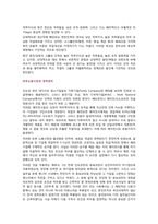 현대자동차의 해외 인력관리(인도시장중심)-3
