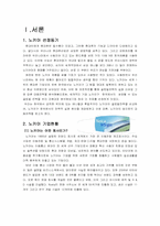 [글로벌경영]해외기업의 현지화전략 실패사례-노키아 국내시장 진입 실패사례-3