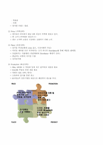 [경영학원론](홍진크라운)HJC해외진출분석-11