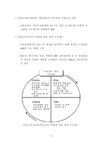 모토로라의 6시그마 품질혁신 성공사례-12