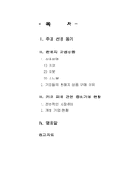 [한국경제의이해] 키코(KIKO)를 통해 바라본 한국경제-중소기업과 환해지 파생상품을 중심으로-2