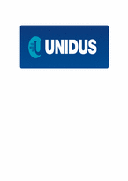 유니더스(UNIDUS)국제경영전략 분석-1