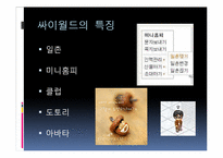 [국제경영]SK커뮤니케이션즈의 싸이월드 해외진출 실폐 사례-4