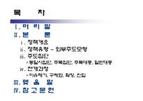 [정책형성론] 코브와 엘더의 정책의제 설정모형에 적용시킨 사형제도 폐지론-2