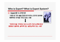 Expert System(전문가시스템)의 적용 사례와 미래-5
