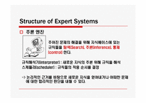 Expert System(전문가시스템)의 적용 사례와 미래-13