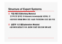 Expert System(전문가시스템)의 적용 사례와 미래-20