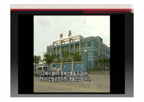 월마트 윤리경영 Case Study-12