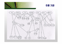전문가 시스템 활용분야 및 기업적용 사례 조사-16