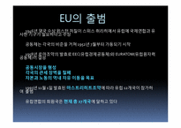 [재정학]유럽통합 움직임과 재정위기-EU&EMU을 중점으로-4