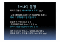 [재정학]유럽통합 움직임과 재정위기-EU&EMU을 중점으로-5