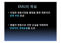 [재정학]유럽통합 움직임과 재정위기-EU&EMU을 중점으로-6