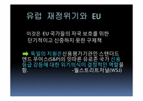[재정학]유럽통합 움직임과 재정위기-EU&EMU을 중점으로-12