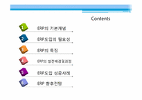 ERP시스템 발전 과정-2