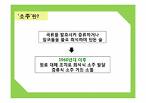 [광고와마케팅] 중장년층 소비자 확보를 위한 두산 소주`처음처럼` 마케팅 전략-3