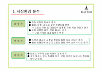 글로벌경영의 이해-빈폴 마케팅 사례-13