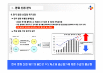 한국영화산업의 위기와 CJ엔터테인먼트의 전략 제안-14