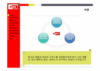 [전략경영론]에넥스(ENEX) 가구산업, 정수기 산업 말레이시아 진출 전략-3