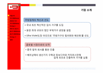 [전략경영론]에넥스(ENEX) 가구산업, 정수기 산업 말레이시아 진출 전략-5
