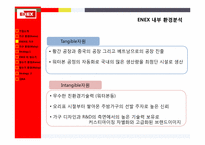 [전략경영론]에넥스(ENEX) 가구산업, 정수기 산업 말레이시아 진출 전략-9
