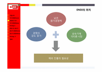 [전략경영론]에넥스(ENEX) 가구산업, 정수기 산업 말레이시아 진출 전략-12