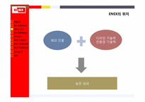 [전략경영론]에넥스(ENEX) 가구산업, 정수기 산업 말레이시아 진출 전략-13